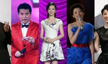 2014马年春晚经典台词