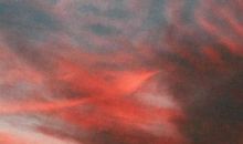 两情相悦的句子