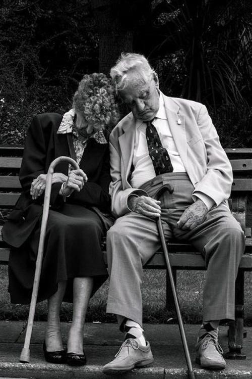 经典语录:有一幅名为幸福的图画,这种幸福被一起称为老年