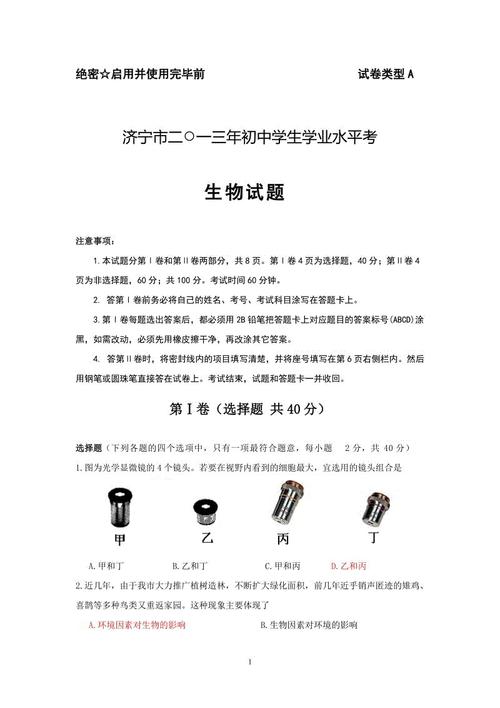 罗密欧与朱丽叶读后感英文版
