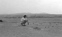 韩少功：三毛的来去