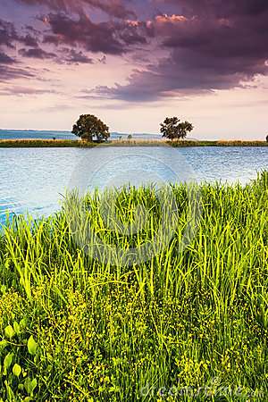 带有美丽夏日风景的句子