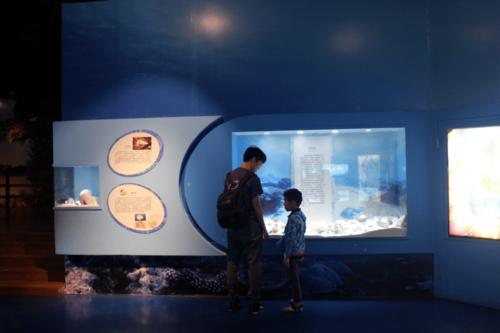 从雷锋的演讲中学到100个字