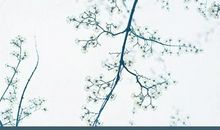 人生路上没有地图