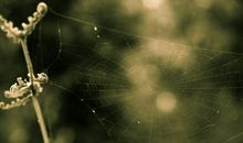 励志故事的另一面