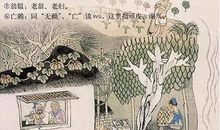 辛弃疾：清平乐·独宿博山王氏庵