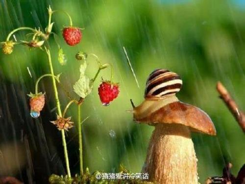 跟随蜜蜂，你可以找到花朵，跟随苍蝇，你只能找到厕所