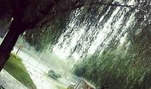 形容小雨的句子