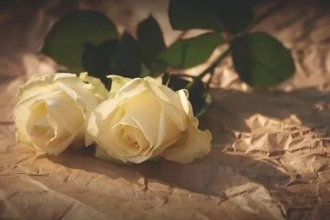 八句话,清楚地看到别人,了解自己