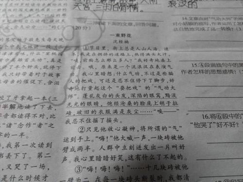 描述外观的句子