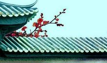 一枝红杏出墙来全诗