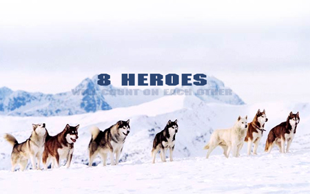 南大冒险电影评论