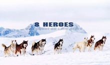 南极大冒险影评