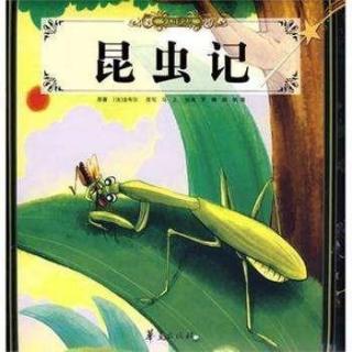昆虫学导论