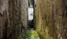 我一直在原地等你