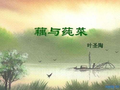 叶圣陶：莲Lotus和Bra菜