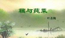 叶圣陶：藕与莼菜