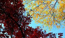 不怕你怀才不遇，只怕你的才华配不上野心