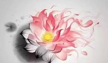 用心去渡，找到属于自己的善良