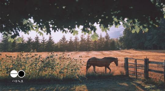 我累了,换个角度