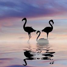 无所事事的人，没有实时性