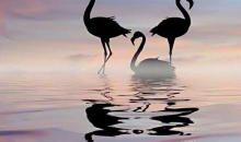 一事无成的人，没有真正的岁月静好