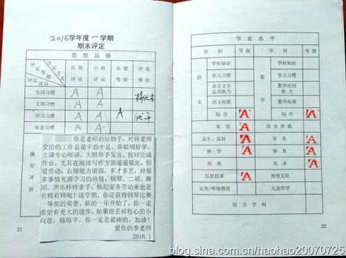 成绩单教师评语
