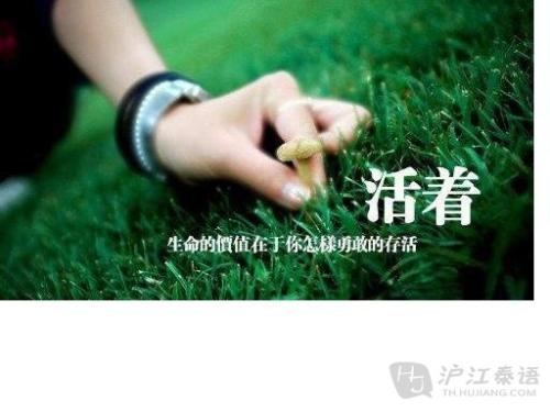 赞美生命的句子