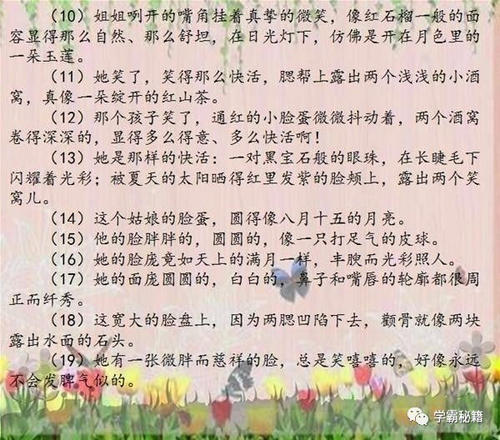 描述老师长相的一段