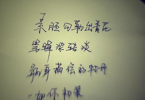 赞美青年的句子