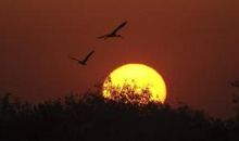 经典语录：既相遇，必相惜，既有缘，必在意