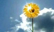 积极心态的句子