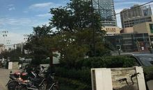 写给高四的儿子：认真过好每一天