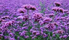 2016最精辟的句子