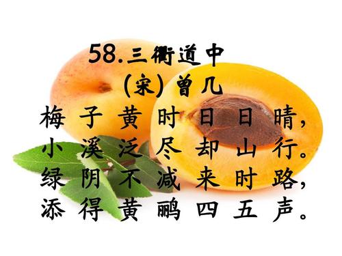 小学生必须记住75首古诗