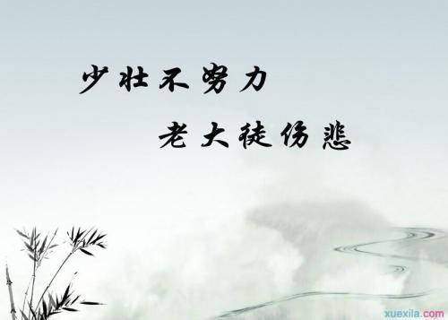 关于阅读行情简介