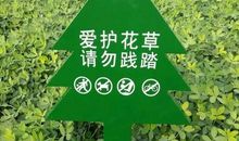 最新爱护花草标语大全