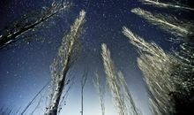 蛰伏，背后的黑暗