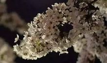 对朋友最好的祝福