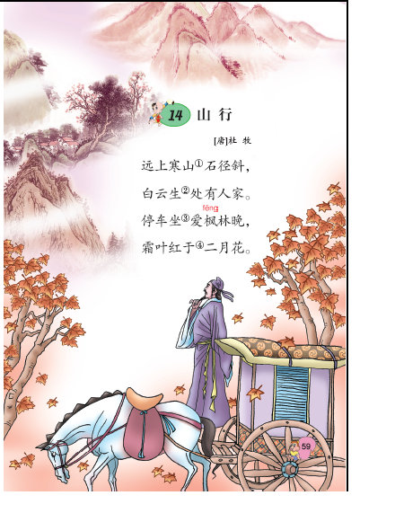 停下来看看枫林的晚诗