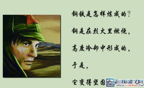 50字钢的主要内容