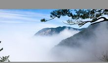 不识庐山真面目全诗