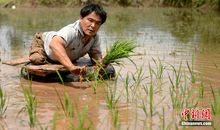 当你感觉自己要放弃的时候需要做6件事