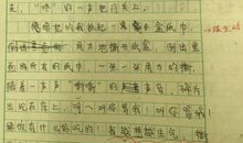 童年趣事作文300字