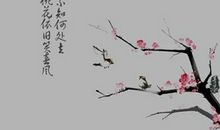 具有诗情画意的句子