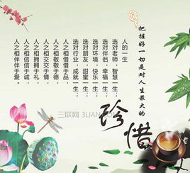 人生的理解:人生的公式