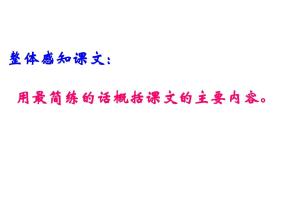 跨越一个世纪的美丽的主要内容