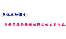 跨越百年的美丽主要内容