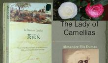 茶花女读后感800字