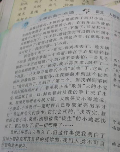 童年乐趣组成450字